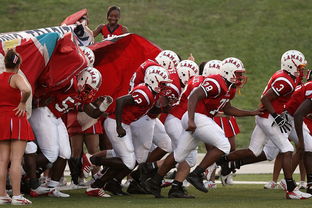 开云下载网址-世界青少年高尔夫大赛中国女将勇夺奖杯，2020全国青少年高尔夫锦标赛