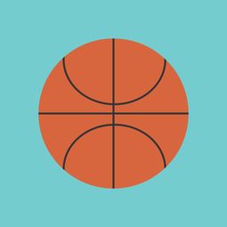 开云体育下载-中国篮球联赛市场竞争环境分析与预测，篮球市场现状